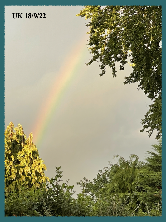 Rainbow and trees from the garden in the UK