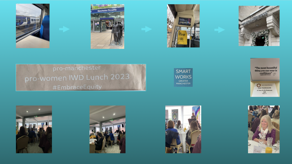 IDW 2023 pro-manchester event
