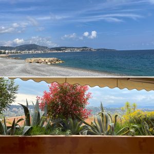 Photos of  Views  in  Nice France