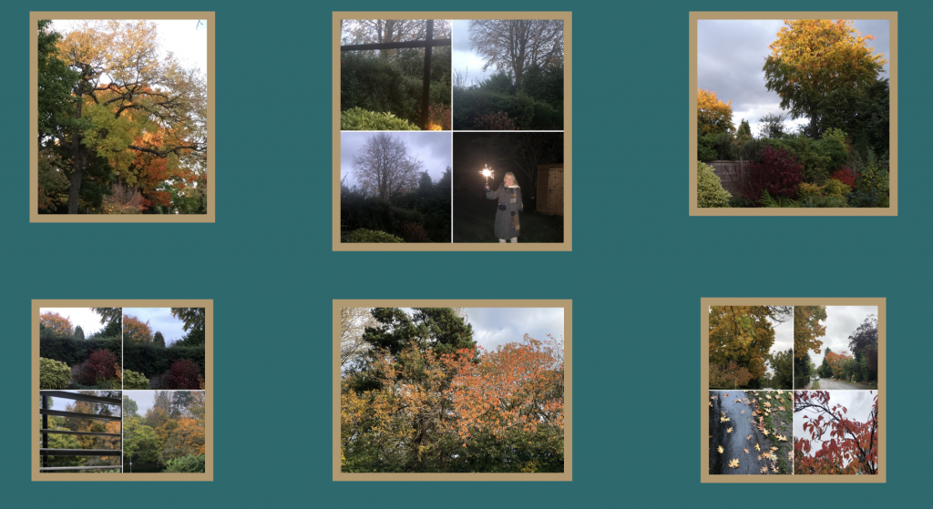 Collage of photos of autumn foliage and a sparkle of light