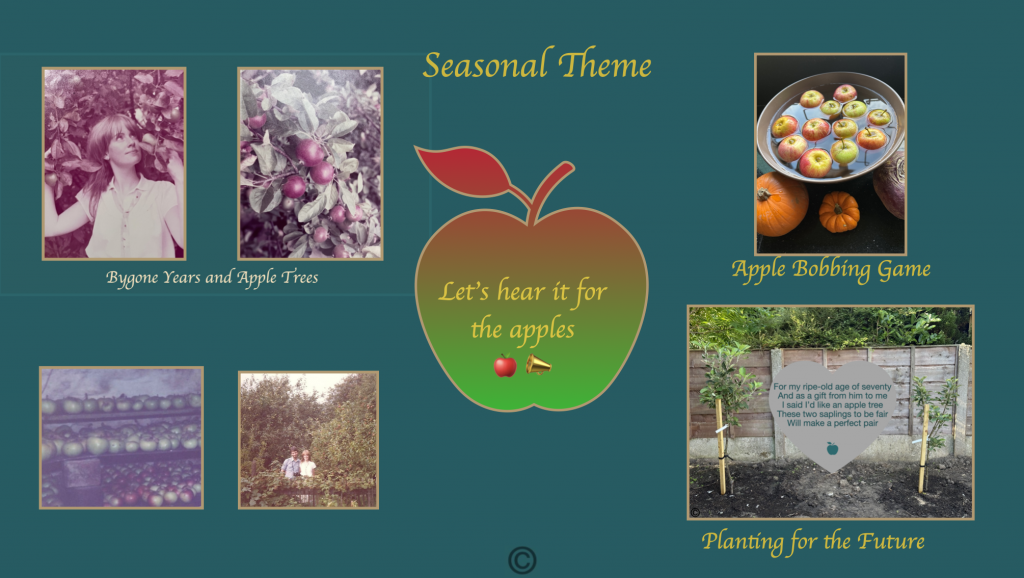 Apple Season personal photos