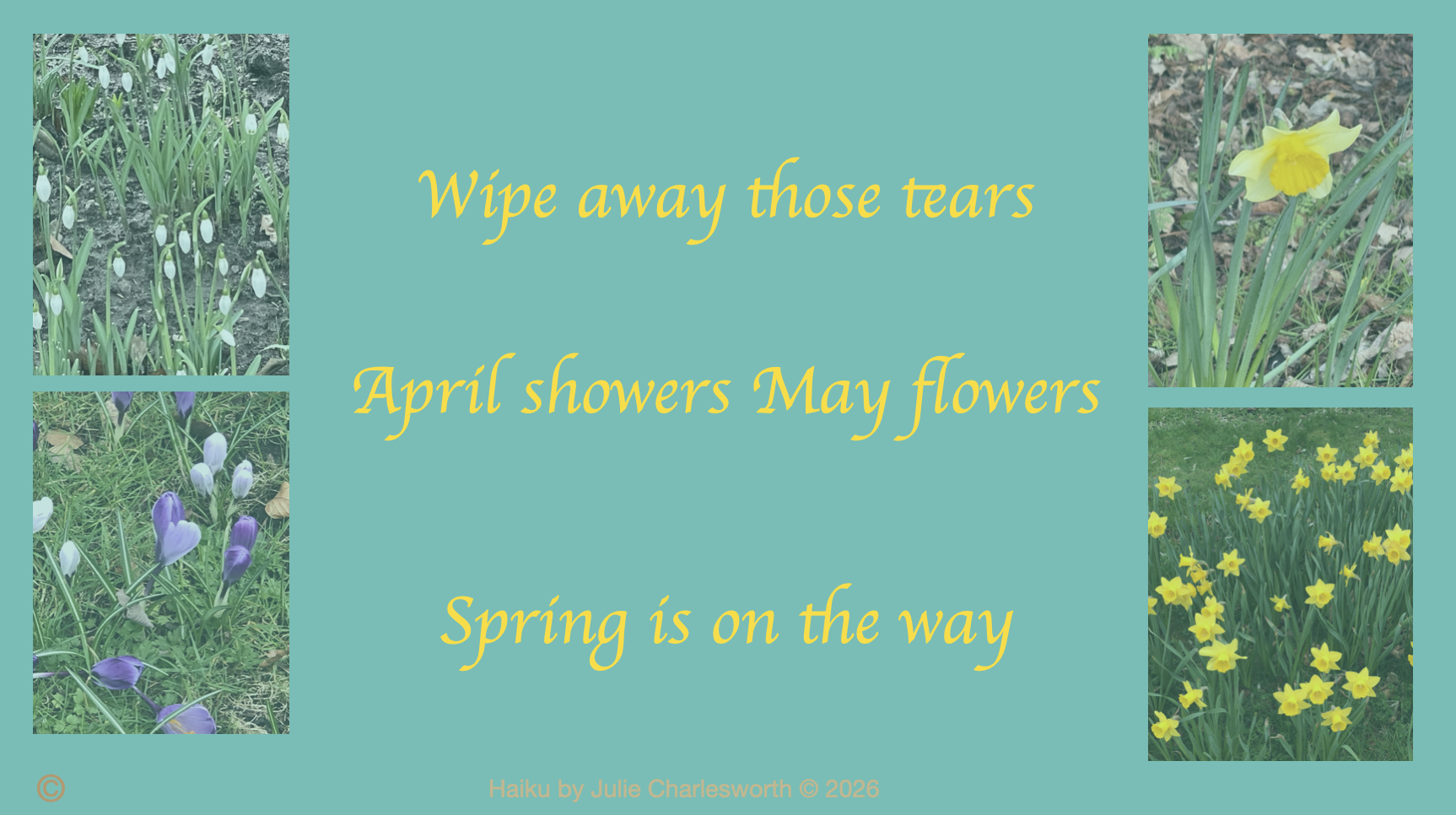 A photo poem with a haiku by JDC and snap shots by JDC