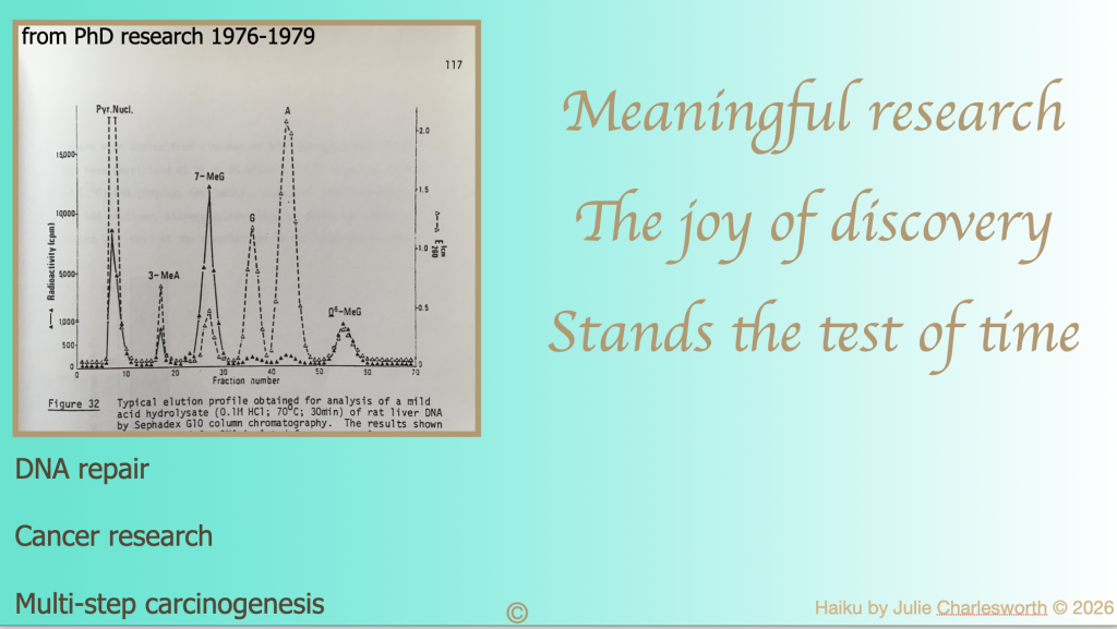 PhD figure fromthe past and haiku for the future